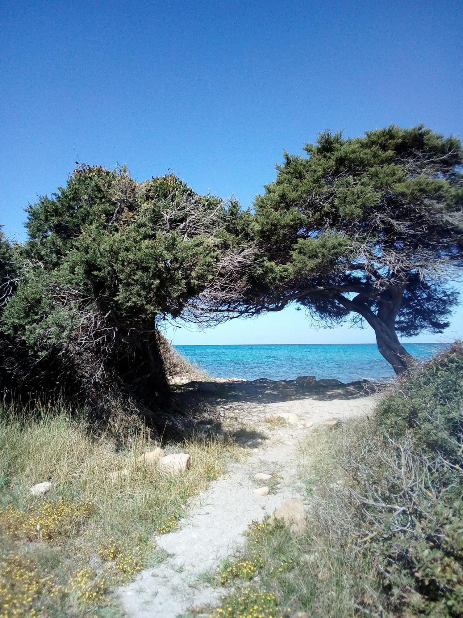 Summer Room- Fronte Spiaggia La Caletta Luaran gambar